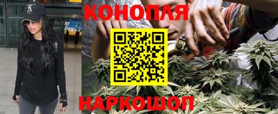 гидропоника Белореченск