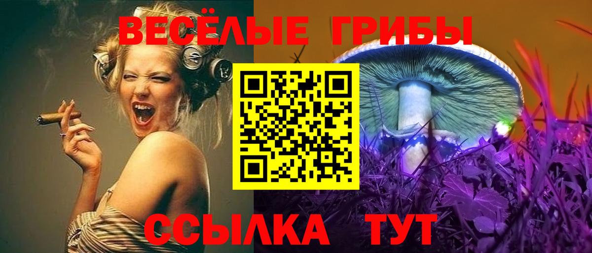 Галлюциногенные грибы Psilocybe  Вход с VPN  Псилоцибиновые грибы ЛСД  Губкинский 